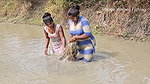 Incredible Big Chitol fish caught by Village Women