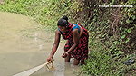 x Incredible Village Women Fishing in Village pond
