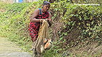 x Incredible Village Women Fishing in Village pond