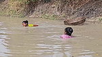 Incredible Village Women Fishing video    Village