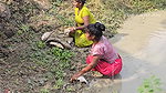 Incredible Village Women Fishing video    Village