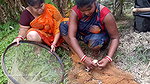 Incredible village women net fishing   Best women