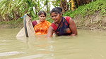 Incredible village women net fishing   Best women