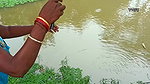 Look what I’ve Caught   Village Lady Fishing   মাছ