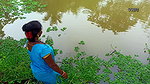 Look what I’ve Caught   Village Lady Fishing   মাছ