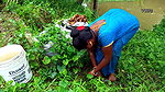 Look what I’ve Caught   Village Lady Fishing   মাছ