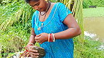 Look what I’ve Caught   Village Lady Fishing   মাছ