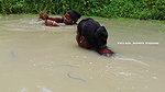 Mouni Net Fishing video    Village women fishing c