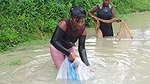 Mouni Net Fishing video    Village women fishing c