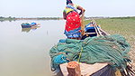 Net Fishing in Sea    Village Women Fishing Channe