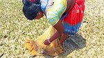 Net Fishing in Sea    Village Women Fishing Channe