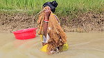 New Amazing Village Women Cast Net Fishing    Vill