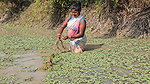 xNew Amazing Village Women Net Fishing in Village p