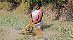 xNew Amazing Village Women Net Fishing in Village p