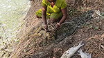 New Amazing Village Women Net Fishing video    Mou