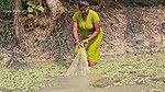 New Amazing Village Women Net Fishing video    Mou