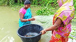 Our Village Fishing Life    (ଆମ ମାଛଧରା ) Village w