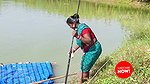 The most Amazing Hook fishing by village Women  সব