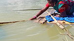 The most Amazing Hook fishing by village Women  সব