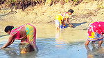 Traditional Hand Fishing by Village Women    Villa