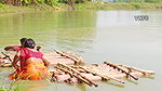 Traditional net fishing by village women   Village