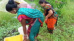 x Traditional Net fishing by Village Women   গ্রামের