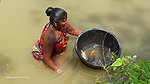 Traditional village women bare hand fishing   Amaz