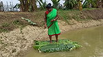 Trident Fishing by village women   Mouni unique fi