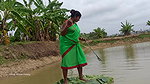 Trident Fishing by village women   Mouni unique fi