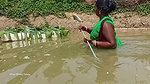 Trident Fishing by village women   Mouni unique fi