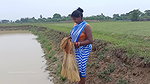 Unbelievable Village women fishing in village pond