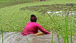 Unique fishing by village women   Mouni fishing