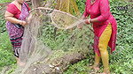 Unique fishing by village women   Mouni fishing