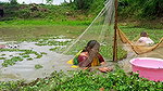 Unique Village women fishing technique   Mud water