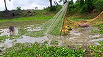 Unique Village women fishing technique   Mud water