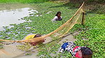 Unique Village women fishing technique   Mud water