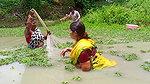 Unique Village women fishing technique   Mud water