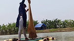Village Lady Amazing Net fishing    Net Casting vi