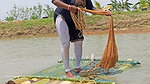 Village Lady Amazing Net fishing    Net Casting vi