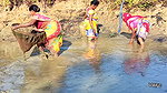 Village Women Amazing Hand Fishing in Mud Water