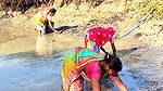 Village Women Amazing Hand Fishing in Mud Water