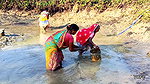 Village Women Amazing Hand Fishing in Mud Water