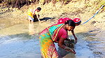 Village Women Amazing Hand Fishing in Mud Water