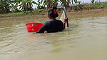 Village Women Amazing Hand Fishing in village pond