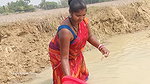 Village women catching lots of fish from Mud water