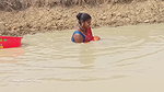 Village women catching lots of fish from Mud water
