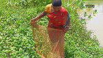 x  Village Women fishing    Traditional Net fishing