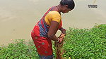 x  Village Women fishing    Traditional Net fishing