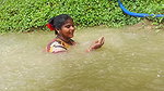 Village Women Fishing in Rain    Prawns Fishing in