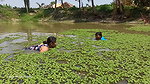 Village women fishing video   Amazing Mouni fishin